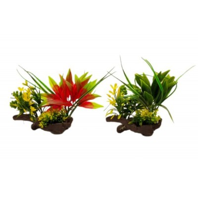 ΔΙΑΚΟΣΜΗΤΙΚΟ ΦΥΤΟ ΕΝΥΔΡΕΙΟΥ 12Χ14CM